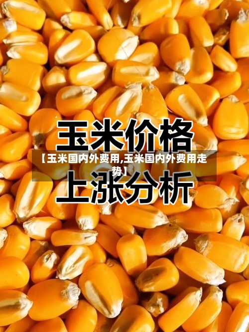 【玉米国内外费用,玉米国内外费用走势】-第2张图片