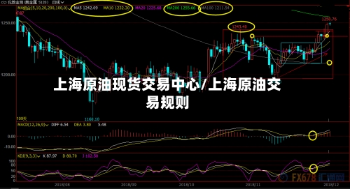上海原油现货交易中心/上海原油交易规则-第3张图片