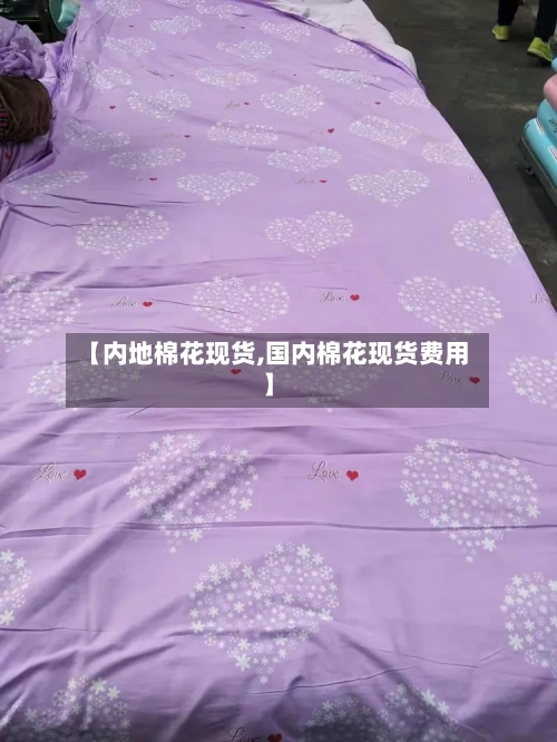【内地棉花现货,国内棉花现货费用】