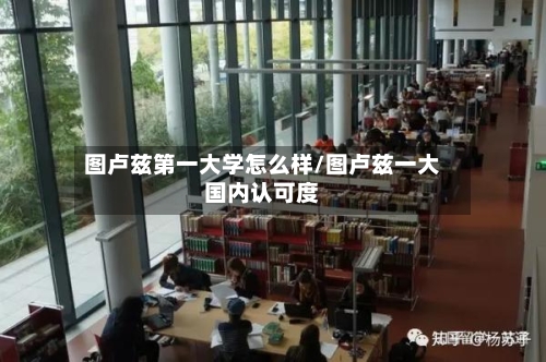 图卢兹第一大学怎么样/图卢兹一大国内认可度