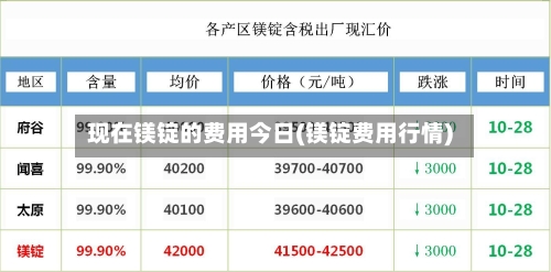 现在镁锭的费用今日(镁锭费用行情)