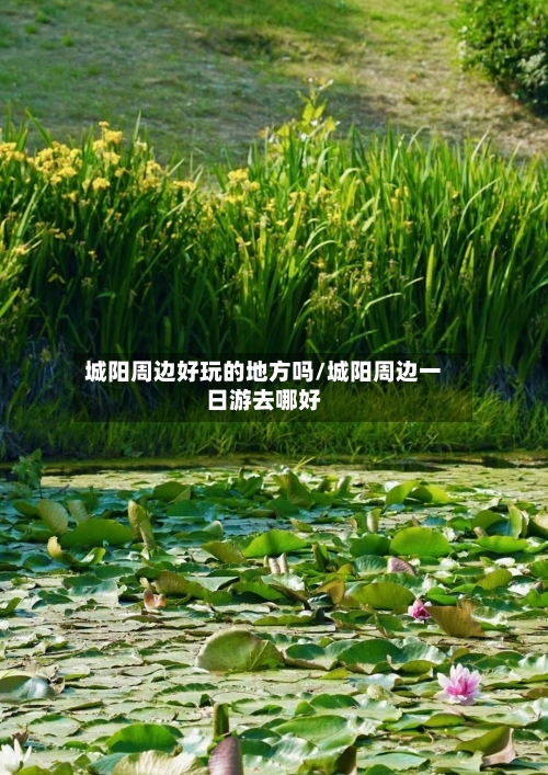 城阳周边好玩的地方吗/城阳周边一日游去哪好