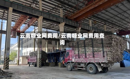 云南糖业网费用/云南糖业网费用查询-第2张图片