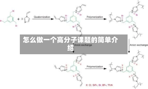 怎么做一个高分子课题的简单介绍
