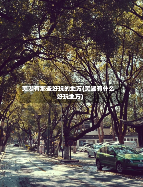芜湖有那些好玩的地方(芜湖有什么好玩地方)-第2张图片