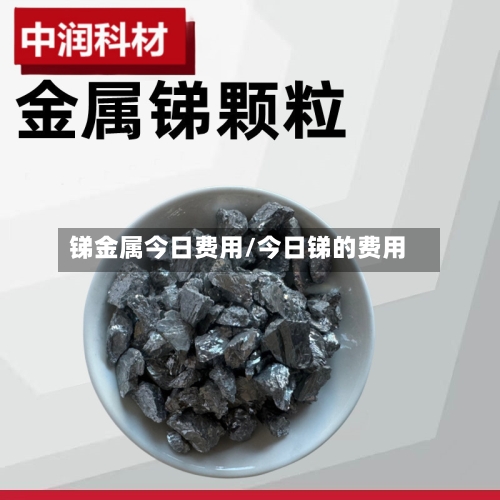 锑金属今日费用/今日锑的费用-第2张图片