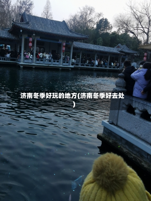 济南冬季好玩的地方(济南冬季好去处)