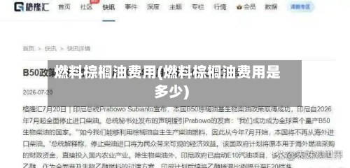 燃料棕榈油费用(燃料棕榈油费用是多少)