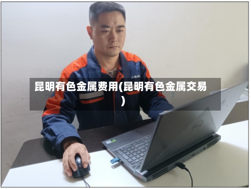 昆明有色金属费用(昆明有色金属交易)