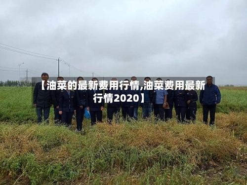 【油菜的最新费用行情,油菜费用最新行情2020】-第2张图片