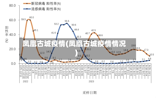 凤凰古城疫情(凤凰古城疫情情况)