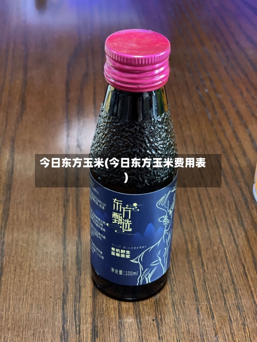 今日东方玉米(今日东方玉米费用表)-第2张图片