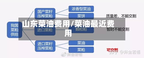 山东菜油费用/菜油最近费用