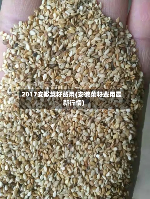 2017安徽菜籽费用(安徽菜籽费用最新行情)