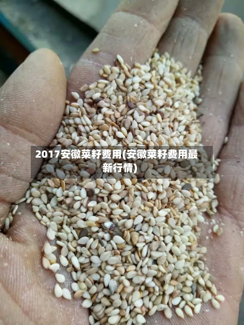 2017安徽菜籽费用(安徽菜籽费用最新行情)-第2张图片