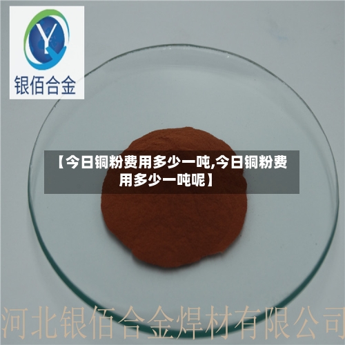 【今日铜粉费用多少一吨,今日铜粉费用多少一吨呢】