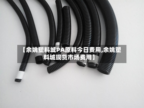 【余姚塑料城PA原料今日费用,余姚塑料城现货市场费用】-第3张图片