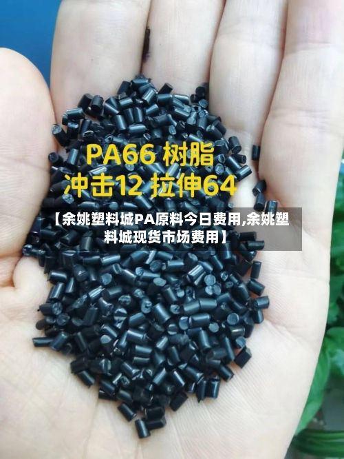 【余姚塑料城PA原料今日费用,余姚塑料城现货市场费用】