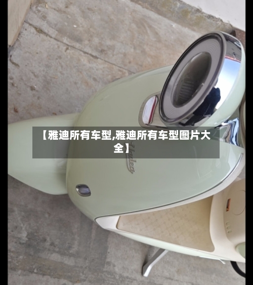 【雅迪所有车型,雅迪所有车型图片大全】