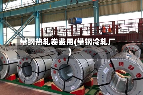 攀钢热轧卷费用(攀钢冷轧厂)