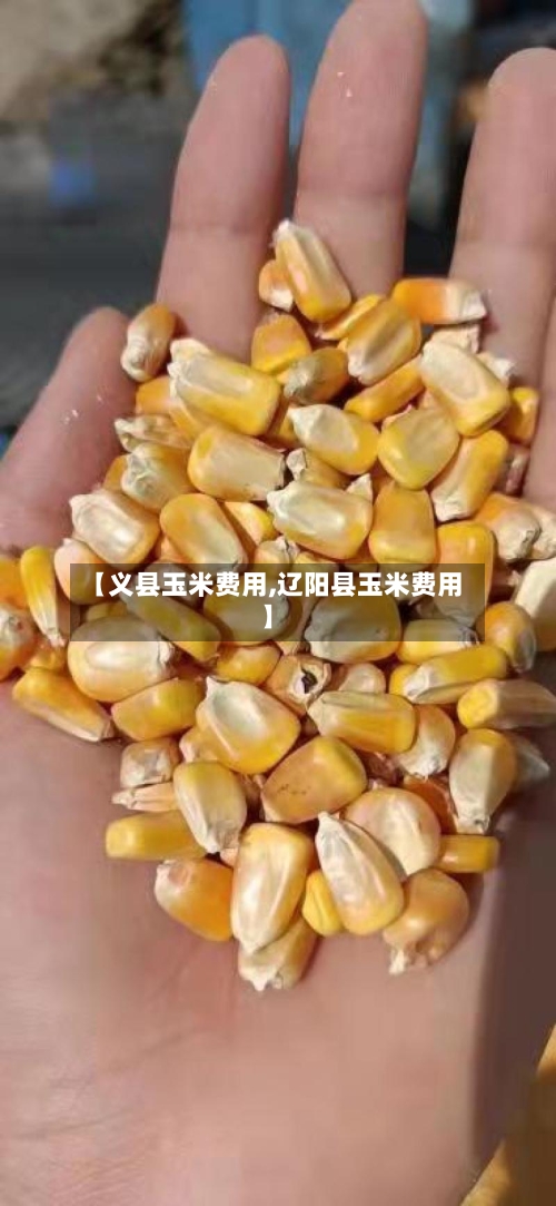 【义县玉米费用,辽阳县玉米费用】