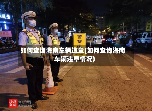 如何查询海南车辆违章(如何查询海南车辆违章情况)-第2张图片