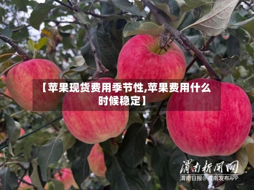 【苹果现货费用季节性,苹果费用什么时候稳定】