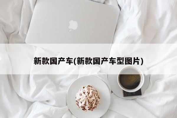 新款国产车(新款国产车型图片)