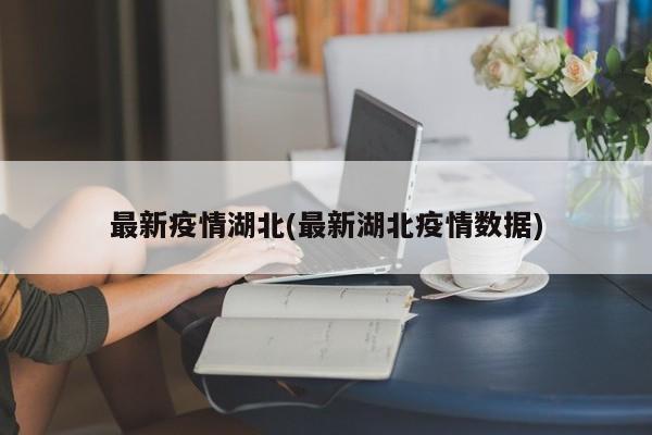最新疫情湖北(最新湖北疫情数据)