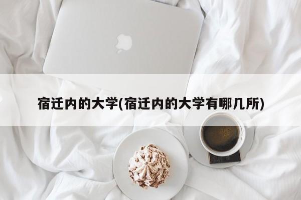 宿迁内的大学(宿迁内的大学有哪几所)