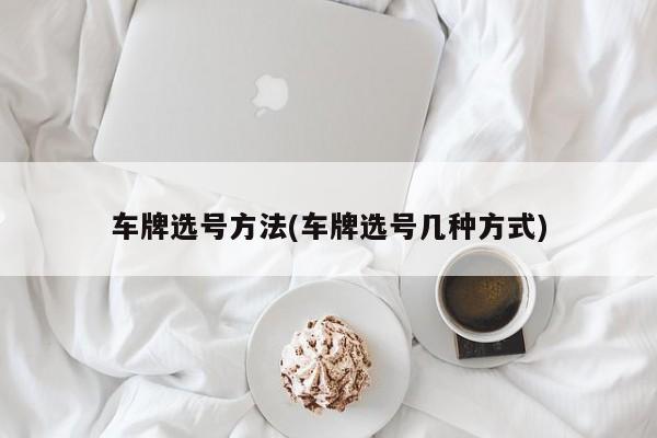 车牌选号方法(车牌选号几种方式)