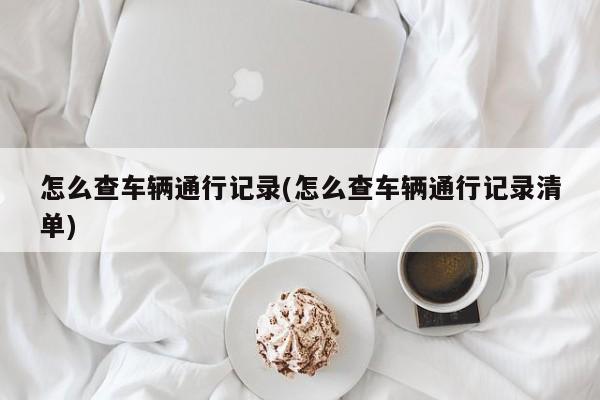 怎么查车辆通行记录(怎么查车辆通行记录清单)